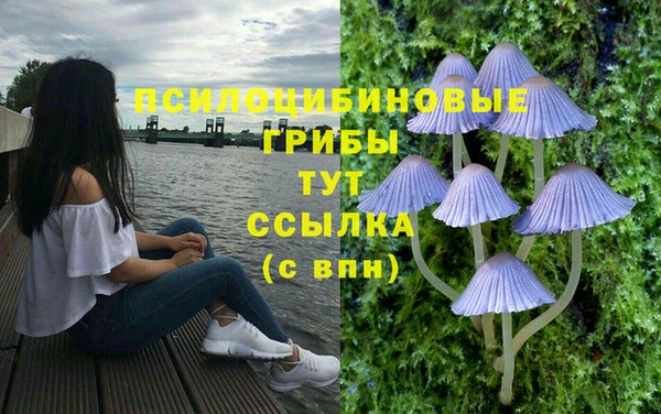 jwh Верхний Тагил